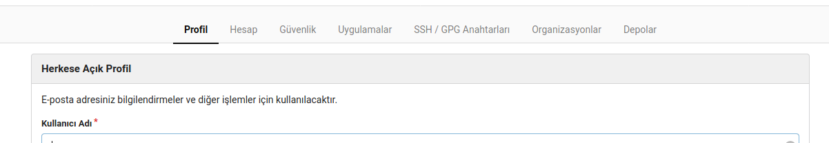 Gitea ayarlar